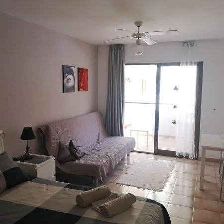 Cristianos Castel Harbour 401 Apartment